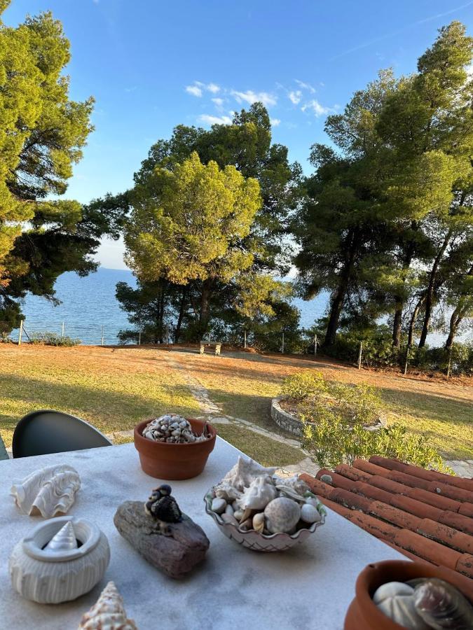 Squirrels, Home With View Metamorfosi  Exterior foto